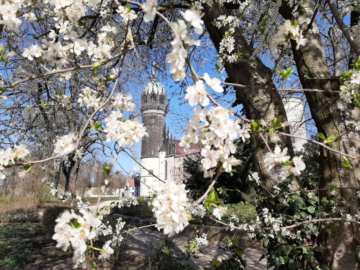 Fewo Rosenbluete Am Stadtpark Wittenberg Zewnętrze zdjęcie
